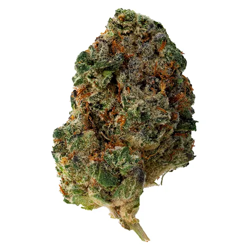 Waffle Cone - The Loud Plug - Dried Flower