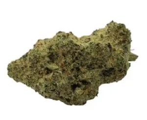 Citrus Rock - Shucanna - Dried Flower