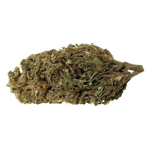 Product image of Lemon Sapphire - Abide - Dried Flower