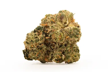 Product image of Trash Panda Smalls - BC Smalls - Dried Flower