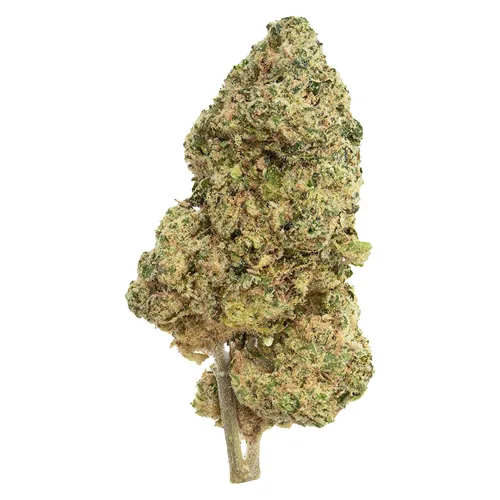 Product image of Black label - The Republic - Dried Flower