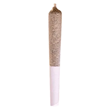 Product image of Canadian Northern Series - Station House - Joints