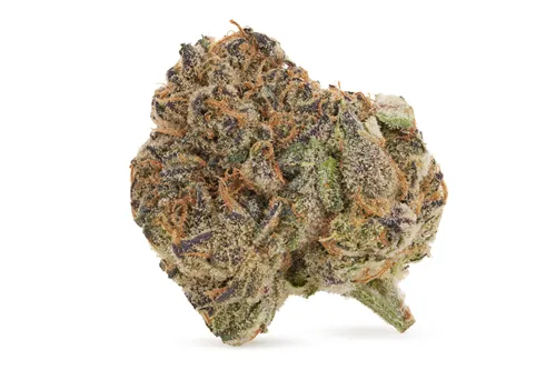 Product image of Royal Sherb - Jolly Boys - Dried Flower