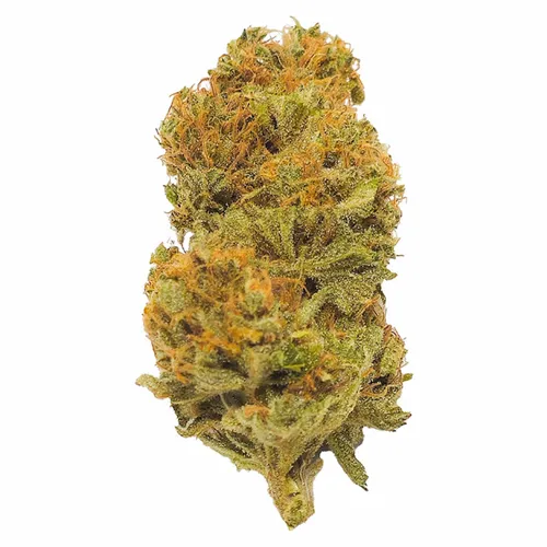 Durban Poison - Mendo Select - Dried Flower