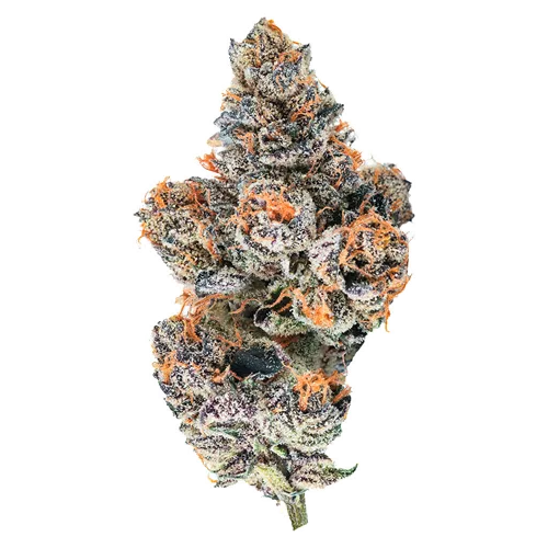 Product image of El Jefe Zoap - BLK MKT - Dried Flower