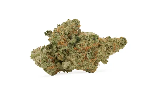 Candy Gas Face x Masterpiece - Carmel - Dried Flower