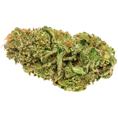 Balance - Solei - Pre-Ground Blend