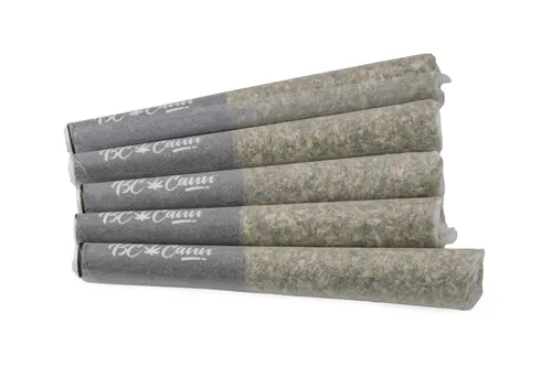 Product image of Time Wreck Lto - BC Cann - Joints