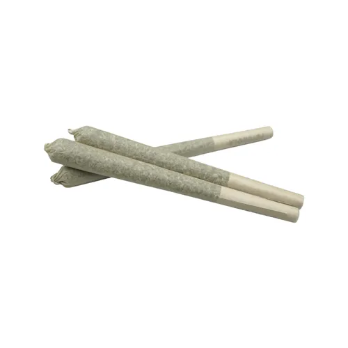 Animal Cookie - Camp River Cannabis - Joints
