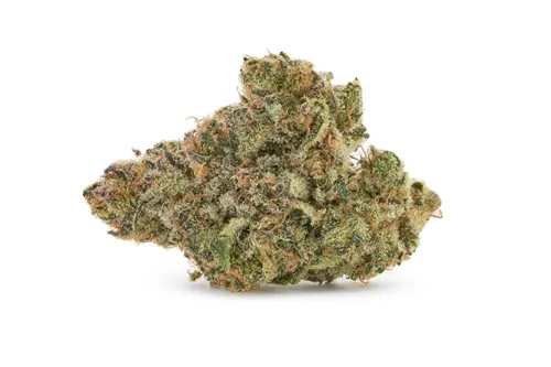 BC Organic Dancehall - Coast Mountain Cannabis - Dried Flower