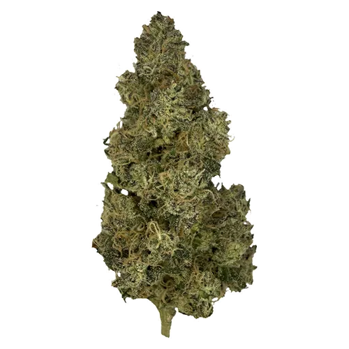Product image of Cherry Chemtrail - The Kitchen - Dried Flower