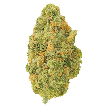 Product image of Neon Sour - San Raf - Dried Flower