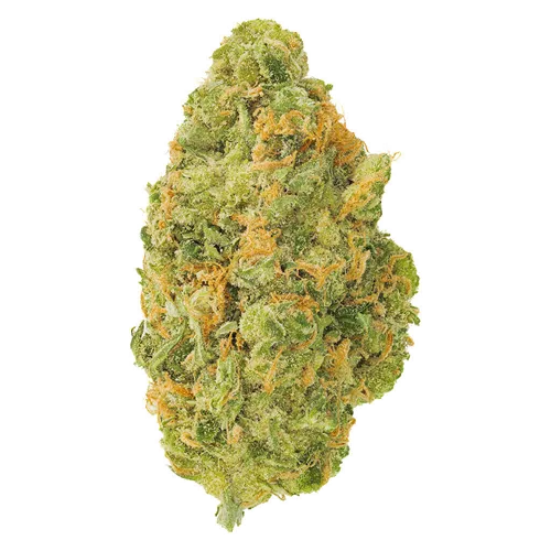 Product image of Neon Sour - San Raf - Dried Flower