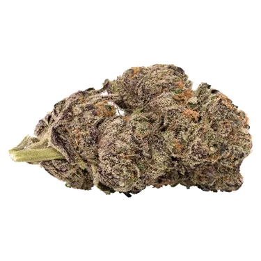 Product image of Blueberry Yum Yum - 5 Points Cannabis - Dried Flower