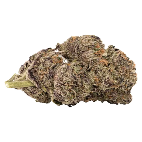 Product image of Blueberry Yum Yum - 5 Points Cannabis - Dried Flower