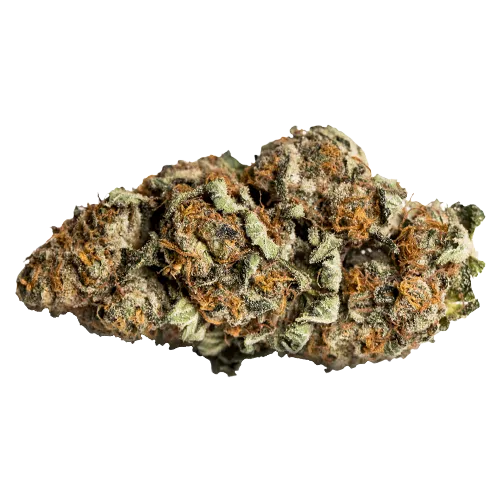 Product image of Cannatonic Blackberry Kush - Dan's Balance - Dried Flower
