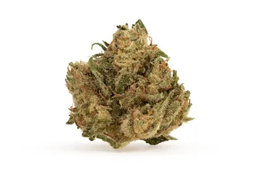 Product image of Durban Poison - Er'What - Dried Flower