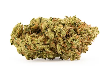 Product image of Reserve Sativa - Vancity® Cannabis - Dried Flower