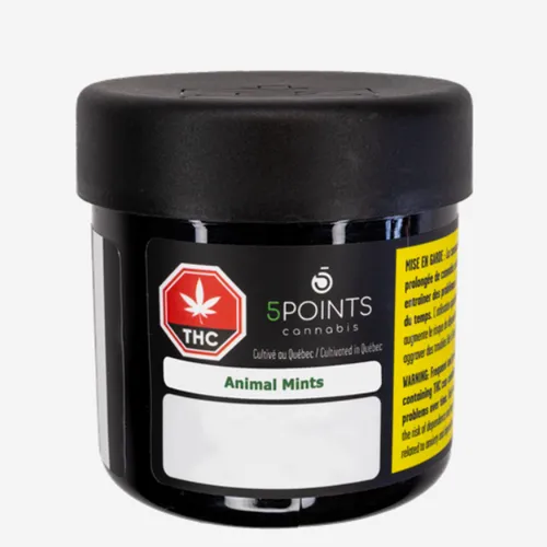 Product image of Animal Mints - 5Points - Dried Flower