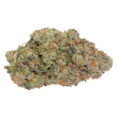 Product image of Thin Mint x Jealousy - Carmel - Dried Flower