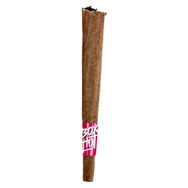 Product image of Fatties Dragon Breath - Boxhot - Infused Blunts