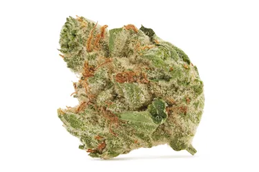Product image of Zelectrolytes Smalls - BC Smalls - Dried Flower