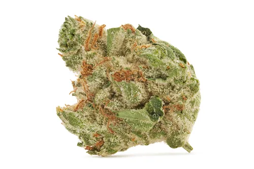 Product image of Zelectrolytes Smalls - BC Smalls - Dried Flower