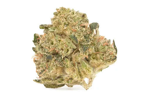 Product image of Summer Haze - Good Supply - Dried Flower