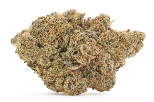 Product image of Gas Basket - Pistol and Paris - Dried Flower