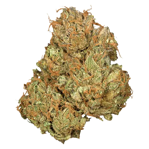 Product image of Jean Guy CBD - Orchid CBD - Dried Flower