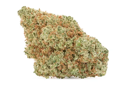 Product image of Flavours - Pistol and Paris - Dried Flower