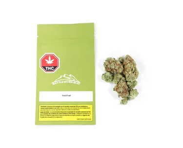 Product image of Fossil Fuel - Battle River Bud - Dried Flower