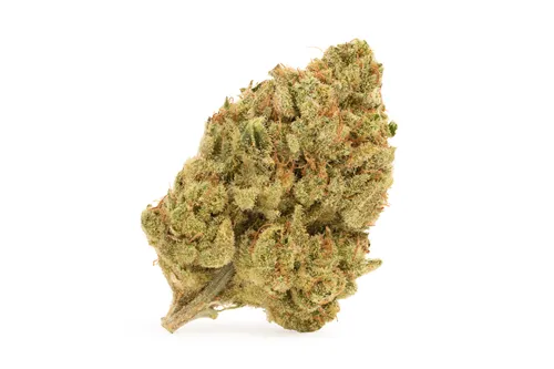 Product image of Banjo Lto - Woody Nelson Country Club - Dried Flower