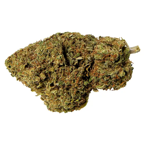 Pink Lemonade - Abide - Dried Flower