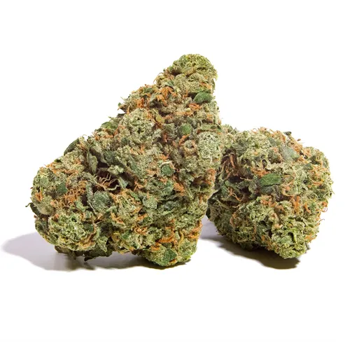 Product image of BC Organic SFV OG Kush - Simply Bare - Dried Flower