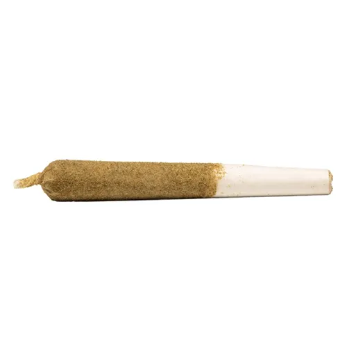Peach Rizz Distillate Infused & Kief Coated - General Admission - Infused Joints