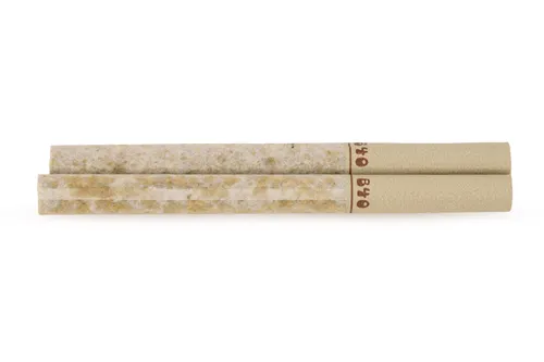 Galactic Jack Daytrippers - Back Forty - Joints