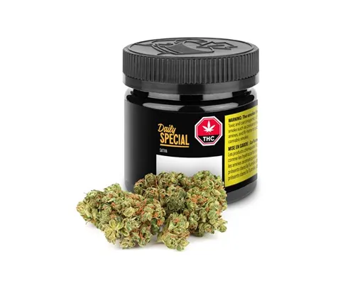 Product image of Sativa - Daily Special - Dried Flower