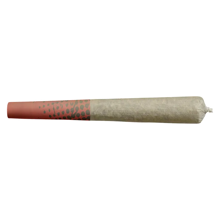 Product image of Blueberry Dream - Big Bag O' Buds - Joints