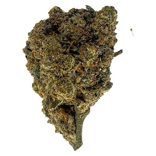 Product image of Banana Jealousy - The Oz Store - Dried Flower