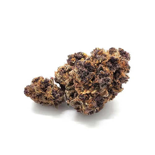 72 Volt - RGB - Dried Flower