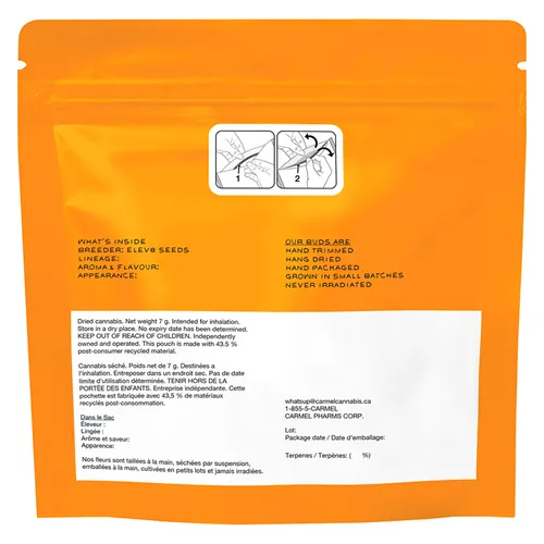 Thin Mint x Jealousy - Carmel - Dried Flower