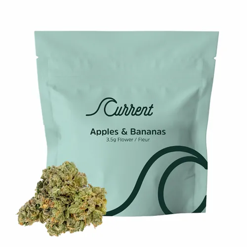 Product image of Apples & Bananas - Current - Dried Flower