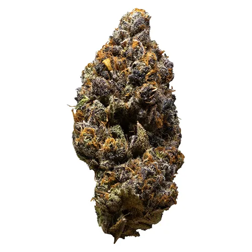 Possum - 3rd Coast Genetics - Dried Flower