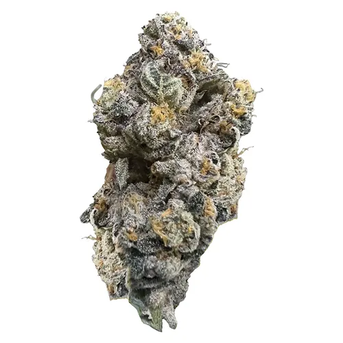 Product image of Royal Dive #3: Hindu Glue - HighXotic - Dried Flower