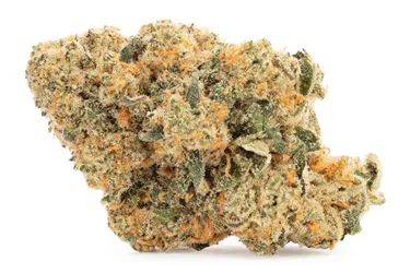 Product image of Widow Pop - Soar - Dried Flower