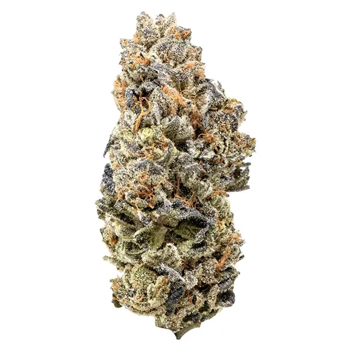 Product image of Candy Apple - Queen of the Underground - Dried Flower