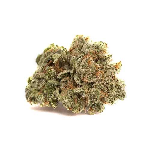Alien Dawg - Canaca - Dried Flower