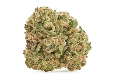 Product image of BC Organic Black Zoap - Simply Bare - Dried Flower