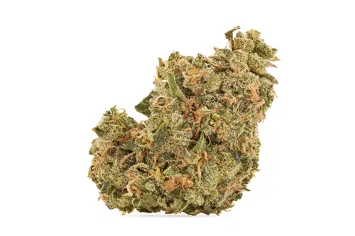 Ultra Jean-G - Holy Mountain - Dried Flower